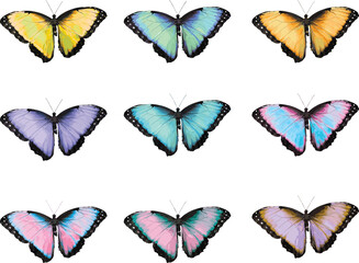 Colorful Butterfly Collection – Vector Set of Nine Vibrant Butterflies