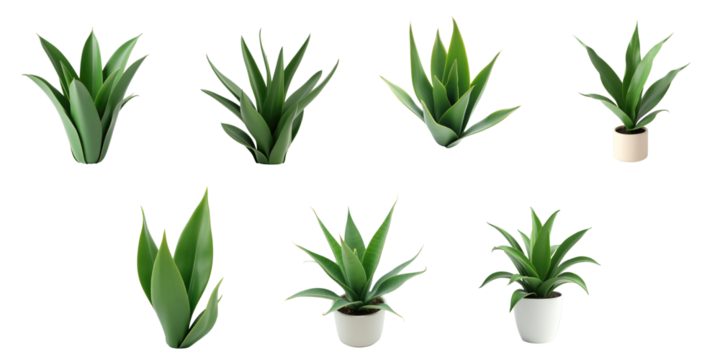 Collection of green sansevieria houseplants in various arrangements with isolated leaves and potted versions on transparent background for versatile design applications
