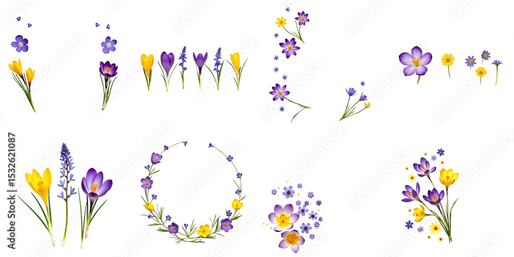 Poster assorted violet and yellow crocuses alongside blue hepatica flowers arranged in creative layouts on 