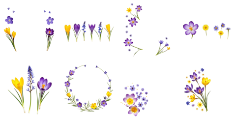 Assorted violet and yellow crocuses alongside blue hepatica flowers arranged in creative layouts on transparent background ideal for design projects with ample space for text insertion