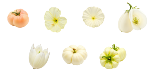 Collection of various edible flowers and fruits including Ipomoea batatas against a transparent background showcasing different shapes and colors.