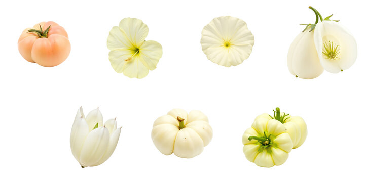 Collection of various edible flowers and fruits including Ipomoea batatas against a transparent background showcasing different shapes and colors.