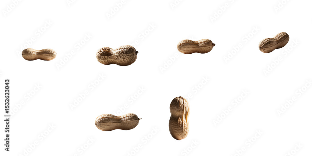 Poster peanuts isolated on transparent background arranged in various positions showcasing their texture an