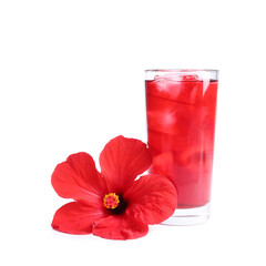 Delicious hibiscus tea with ice cubes in glass and beautiful flower isolated on white