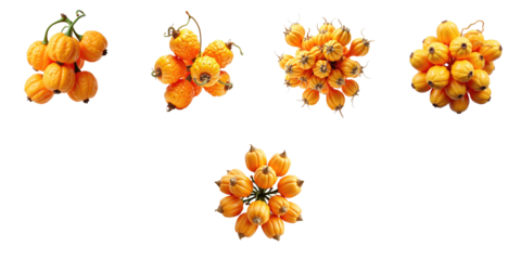 Sea-buckthorn berries in various clusters isolated on a transparent background showcasing bright orange color and distinct shapes suitable for commercial use