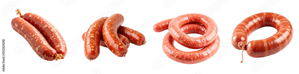 Poster various types of dry-cured sausages displayed in different shapes including long links and coils set
