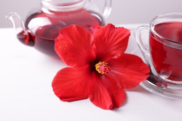 Beautiful flower and tasty hibiscus tea on white table against grey background, closeup