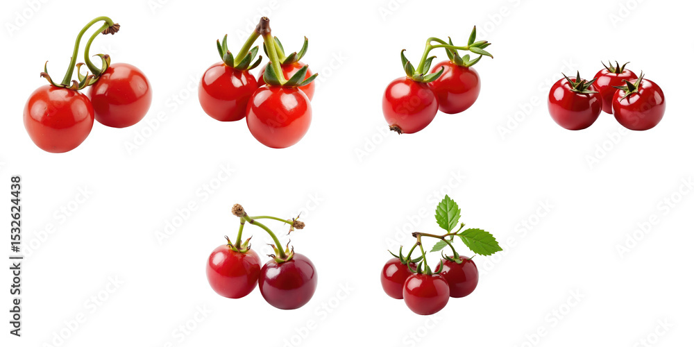 Aufkleber ripe red berries arranged in various clusters on a transparent background showcasing their glossy te