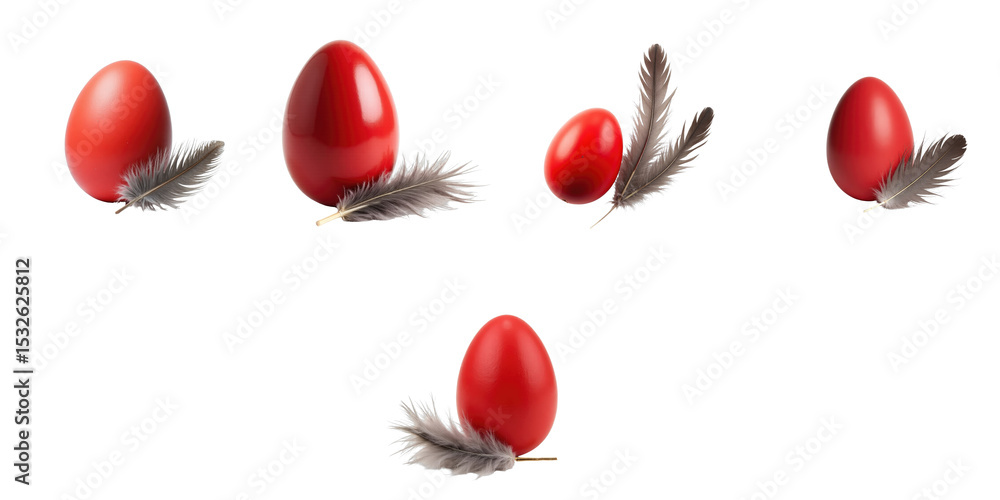 Poster group of red easter eggs with grey natural feathers arranged in various positions on a transparent b