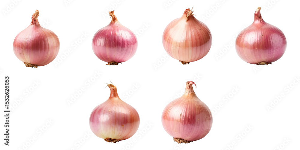 Poster six pink onion bulbs isolated on a transparent background showcasing different angles and perspectiv