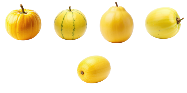 Various types of yellow melons arranged linearly on a transparent background with transparent elements highlighting individual fruits and their distinct shapes and sizes.