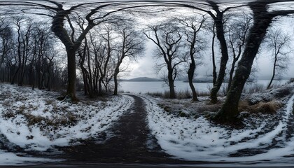 Fototapeta premium Snowy path winding through a wintry woodland beside a lake.