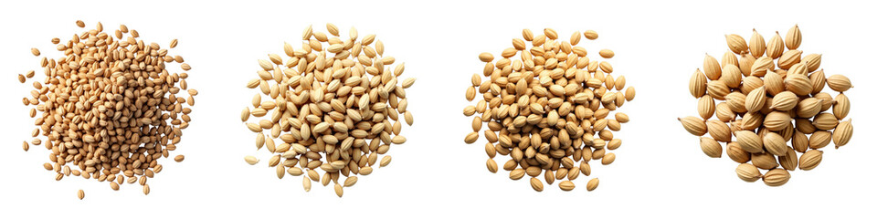 assorted pile of different types of dry seeds including flax seeds isolated on transparent background with no distractions in high resolution for clear visibility