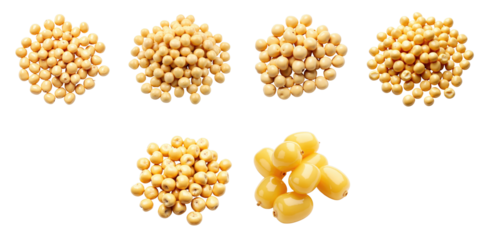 Various clusters of yellow soybeans arranged in different formations on a transparent background showcasing their shape and texture.