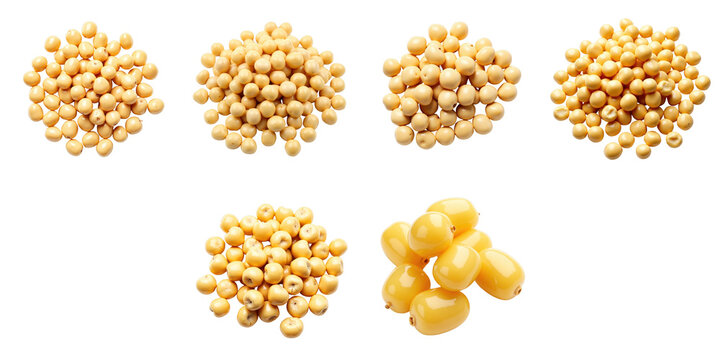 Various clusters of yellow soybeans arranged in different formations on a transparent background showcasing their shape and texture.
