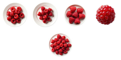 Assorted red raspberries on white plates arranged in various patterns against a transparent background showcasing details and textures of the berries with ample negative space for design use