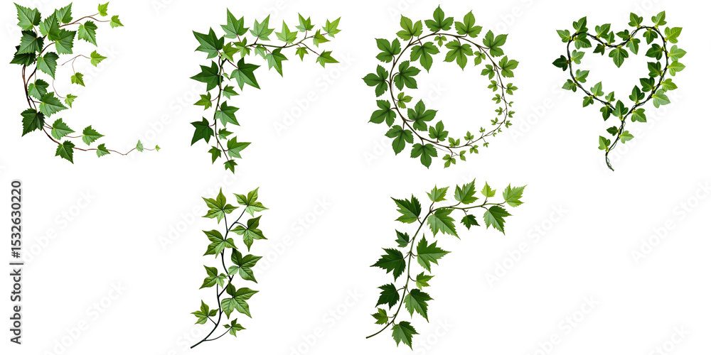 Poster green ivy vine elements in various shapes including letters and decorative patterns on a transparent