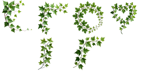 Green ivy vine elements in various shapes including letters and decorative patterns on a transparent background suitable for design projects and creative applications