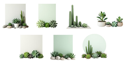 Stylized arrangement of various succulent plants and minimalistic solid backgrounds in different shapes displaying modern design elements with a vibrant aesthetic