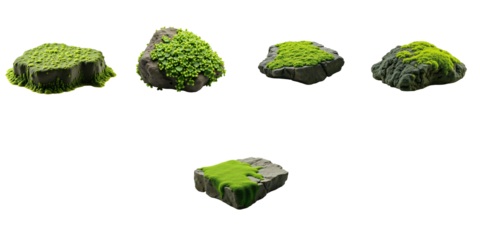 green algae covered rocks with varying textures and colors isolated on transparent background suitable for various digital design purposes