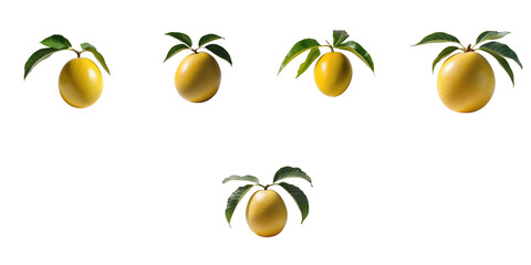 Mango fruit assortment with green leaves displayed on transparent background showing different angles of ripe yellow mangoes.