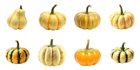 Assortment of ornamental squash varieties arranged in a grid pattern with distinct colors and shapes isolated on a transparent background for seamless integration in designs.