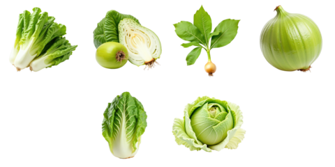 Fresh vegetables including romaine lettuce, cabbage, onion, and a green fruit surrounded by moringa leaves on a transparent background, isolated without any distractions.