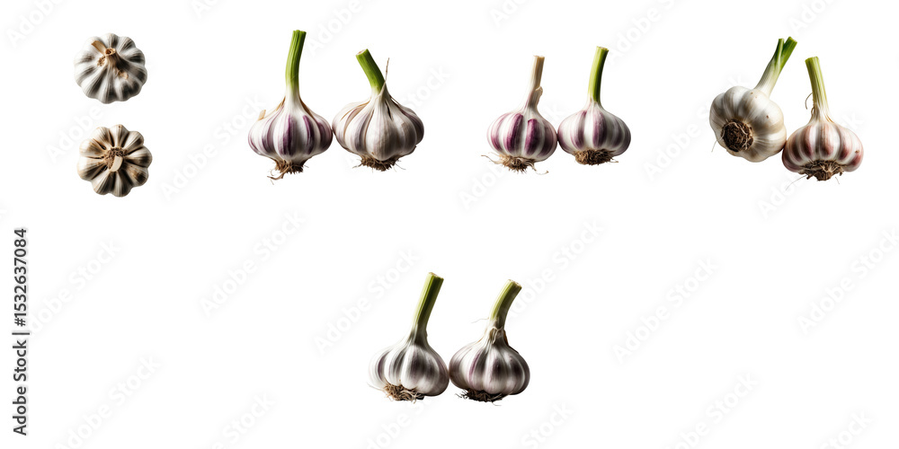 Poster various fresh garlic heads of different sizes and colors arranged against a transparent background i