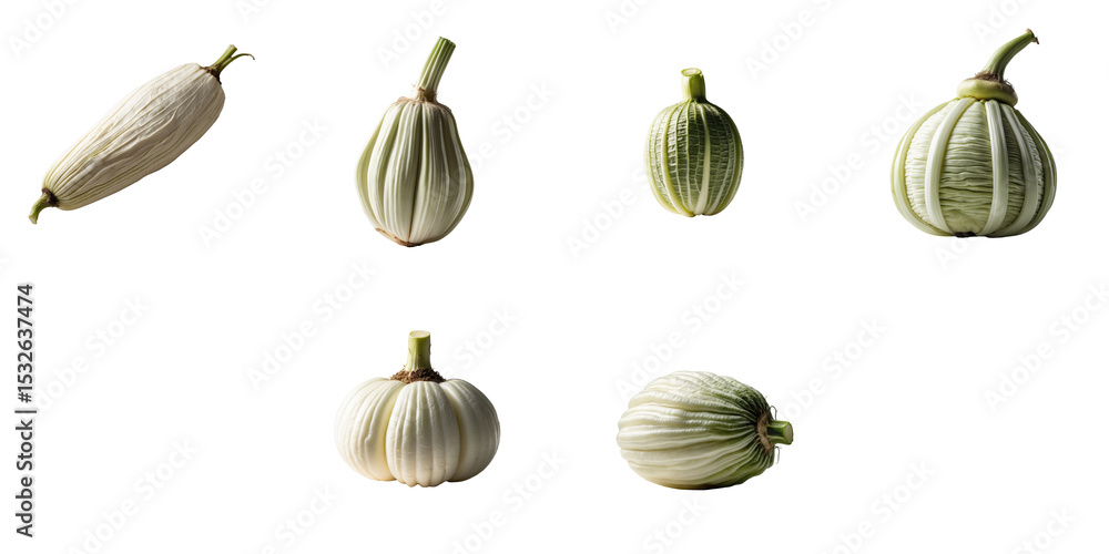 Poster collection of six raw ribai vegetables arranged on a transparent background highlighting their uniqu