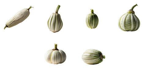 Collection of six raw ribai vegetables arranged on a transparent background highlighting their unique shapes and textures in a visually clean format