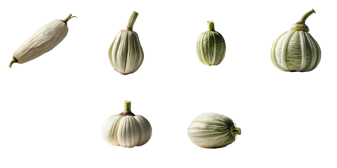 Collection of six raw ribai vegetables arranged on a transparent background highlighting their unique shapes and textures in a visually clean format