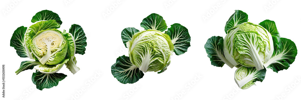 Poster chopped green cabbage heads displayed in three stages on transparent background showcasing intricate