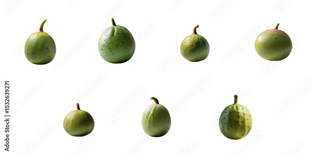 Poster multiple green passion fruits arranged in various positions isolated on a transparent background hig