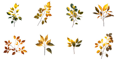 Obraz premium Colorful autumn leaves arranged in a grid pattern with varying shapes and sizes, beautifully illuminated by sunlight against a transparent background.