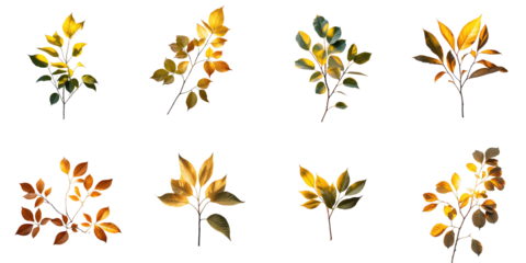 Colorful autumn leaves arranged in a grid pattern with varying shapes and sizes, beautifully illuminated by sunlight against a transparent background.