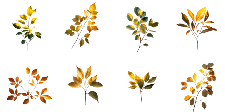 Colorful autumn leaves arranged in a grid pattern with varying shapes and sizes, beautifully illuminated by sunlight against a transparent background.