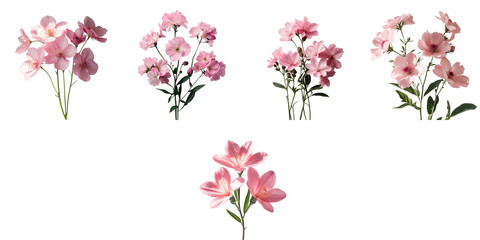 Naklejka premium Various pink flowers arranged artistically, showcasing multiple angles and sizes, isolated on a transparent background with natural lighting.