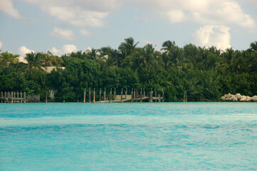 Lush green tropical vegetation lines the shore of a calm turquoise sea, creating a peaceful and secluded paradise vibe on a sunny day in the Bahamas