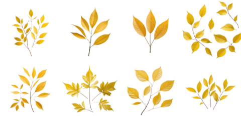 Collection of isolated yellow leaves displayed on a transparent background featuring various shapes and arrangements of foliage in autumn colors