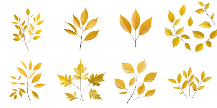 Collection of isolated yellow leaves displayed on a transparent background featuring various shapes and arrangements of foliage in autumn colors - Powered by Adobe