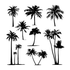 Collection of contemporary black palm tree silhouettes set against a white backdrop