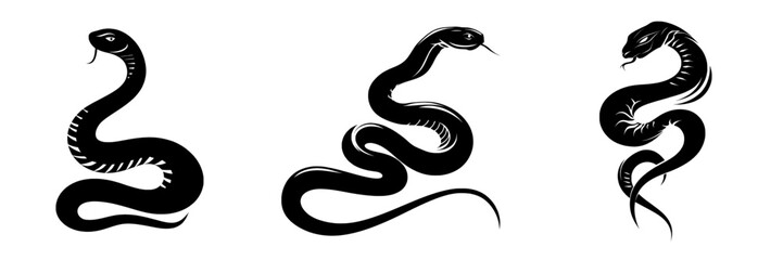A snake graphic icon is represented by a modern illustration of its black silhouette on a white background