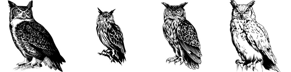 Obraz premium Modern black color silhouette illustration of an owl bird for use in icons, logos, posters, and banners, depicting an abstract wild animal isolated without a background, suitable for zoos, hunting