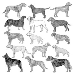 A border set featuring silhouettes of small and large dogs is offered, with choices including half and full length depictions