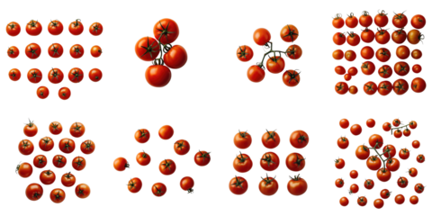multiple clusters of ripe small red tomatoes isolated on transparent background arranged in various patterns and compositions for seamless graphic design use