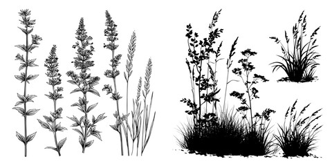Fototapeta premium A modern illustration including silhouettes of various wild plants, grass, and weed plants