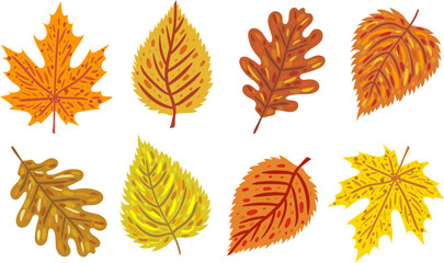 Fototapeta premium autumn leaves vector set with abstract patterns colorful fall foliage elements web design posters decoration hand drawn style collection isolated digital art