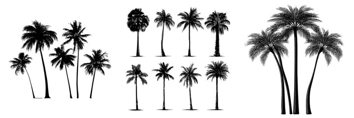 A modern illustration design for posters, banners, and promotional items, featuring the silhouettes of palm trees isolated on a white background in black