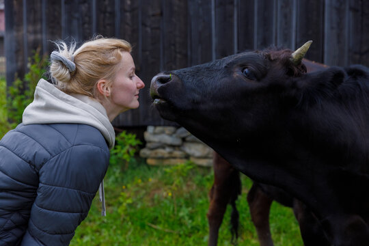A Heartwarming Moment Between a Woman and a Cow in Nature: Embracing the Beauty of Animals and Human Connection in a Rustic Setting