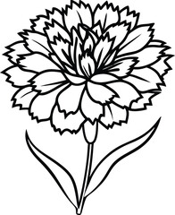Black and White Carnation Flower Illustration with Two Leaves on a White Background